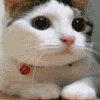 I can roleplay^^Join to my agency, Animerp ;-) Facebook.