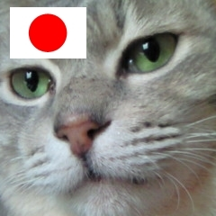 mataginekonya's profile picture. ねこに住みよい世の中にするのが夢にゃ。ねこにこばん、ポケモンもこばんにゃ。応援してるにゃ→○ねこ室内飼い同盟○https://t.co/WRNLmR0Zwp 台湾独立winnie-the-pooh