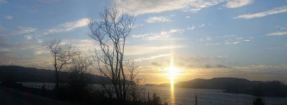 pulse_08's profile picture. Nurse