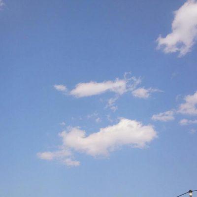 たまつ