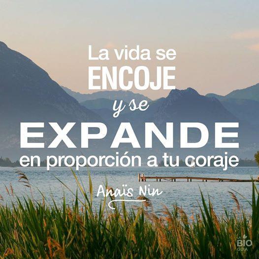 Entusiasta de la vida. Amb moltes ganes d'aprendre i de compartir amb vosaltres.
M'agrada viure en l'ara.