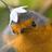 Twitter result for Expert Verdict from Caleamity