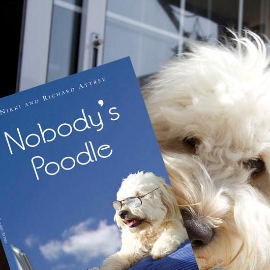 Ex rescue shelter pooch, spokesmutt for abandoned dogs, & pawthor of 'Nobody's Poodle I Like sausages & woofing