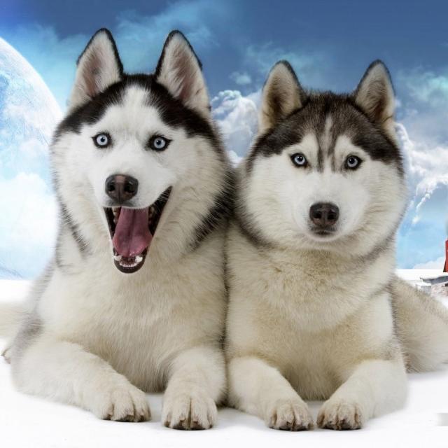 Poolpro20's profile picture. 