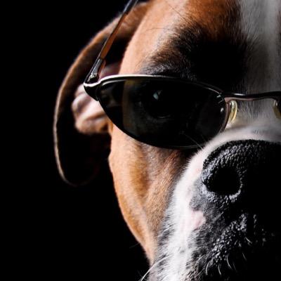 danielomar_ft's profile picture. 