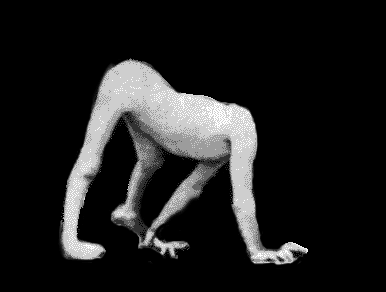 louchemustachio's profile picture. pantspantspantspantspantspantspantspantspantspantspantspants