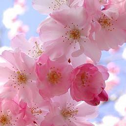 Blogger valenciana, apasionada de la cosmética y últimas tendencias y con muchas ganas de viajar. sunflowersvg@gmail.com https://t.co/xFEnavypsO