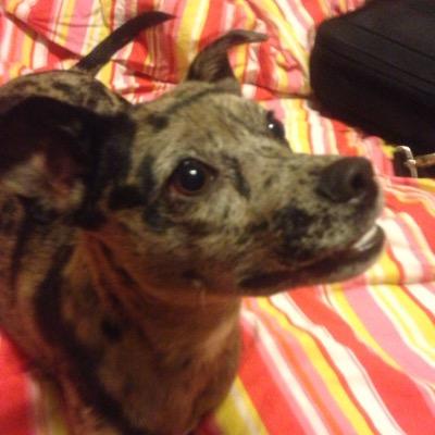 istuffonstella's profile picture. 