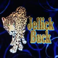 Nancy Buck(@JellickBuck) 's Twitter Profile Photo