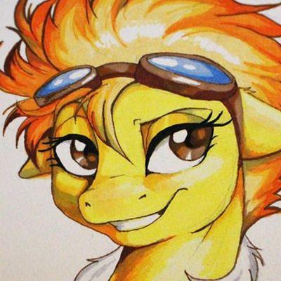 I'm the Captain of the Wonderbolts, the top flying regime in Equestria. | Mod Lives in USA and his birthday is Dec. 24th. | Lots of RP. Mostly post pony pics