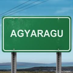 abdullahiangibi's profile picture. Chat me if you want to know more about me