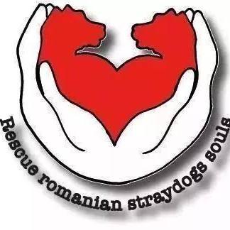 We zijn een helpende hand voor The Romanian Straydogs , de situatie is hartverscheurend voor de honden , wie wil kan altijd een handje helpen .