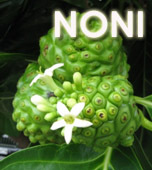 blackhairmagic's profile picture. Organic supporter.even on hair care. Noni product lover