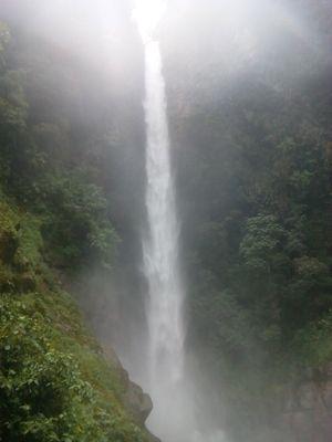 AugustaMerino's profile picture. Profesora de la Institucion Educativa Fiscal Benito Juarez y estudiante de la Maestria Tics en Educacion