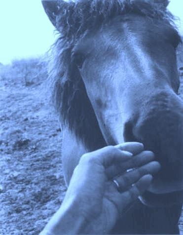 CanaryParker's profile picture. 