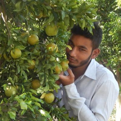 ShaikhSharif18's profile picture. 