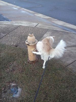 StephenGanous's profile picture. Tweeting About Interests Both Big & Small. Following All That Are Following Me