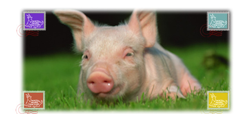 porcusoruisteri's profile picture. 