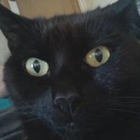 Kerry (@krt1972) 's Twitter Profile Photo