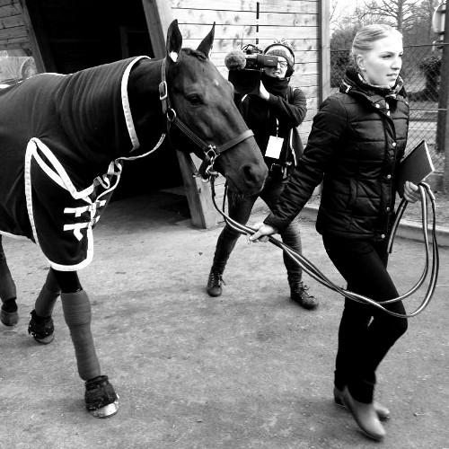 jenni_sorjonen's profile picture. 