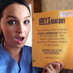 DrGreyDrWilson's profile picture. 