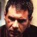Ricky Deckard (@deckard72rick) Twitter profile photo Ricky Deckard (@deckard72rick) Twitter profile photo