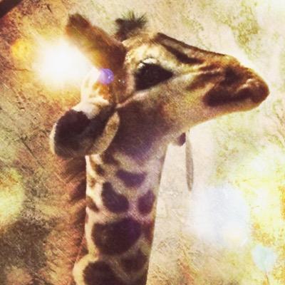 DONT BELIEVE THE HYPE IM NO FUCKIN INTERNET GIRAFFE NIGGAS TRYNA CALL ME PLUSH IM NO PLUSH ASS NIGGA