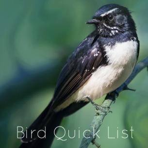 A simple and quick way to keep lists of all the Australian, UK and North American  birds you see whilst bird watching