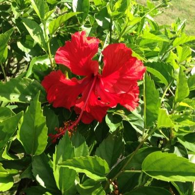 mira なめかん は方言だったことに最近気づかされた リツイートしてくれたの山形の人だけ 笑 Twitter mira なめかん は方言だったことに最近気づかされた リツイートしてくれたの山形の人だけ 笑 Twitter