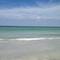 Sondra Jodkin (@sondrajodkin) 's Twitter Profile
