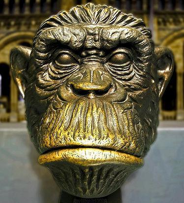 boragora38's profile picture. 