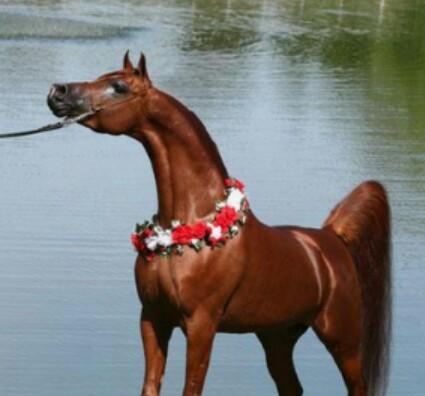 kimcat141's profile picture. 