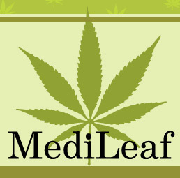 SJMedileaf's profile picture. 