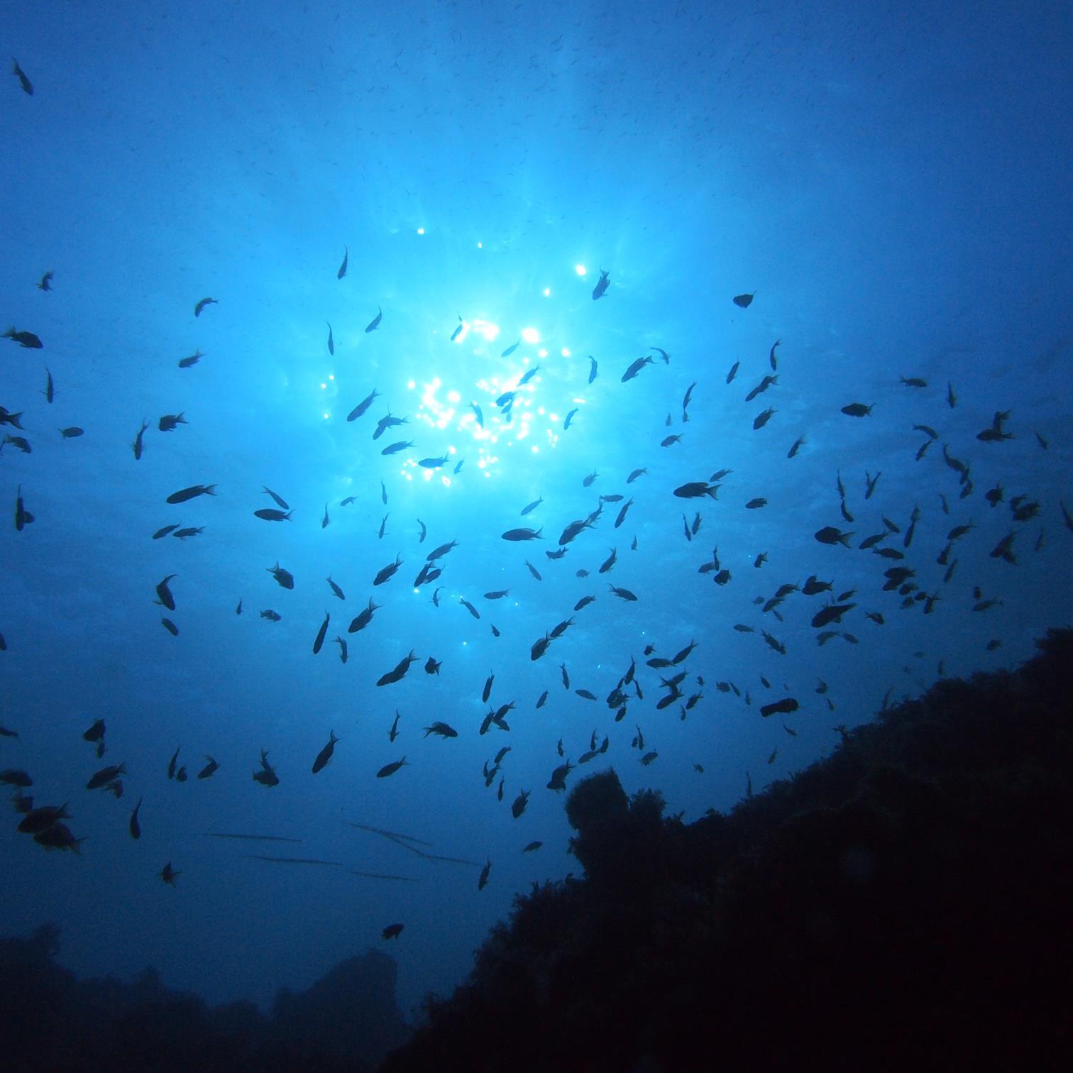 世界中のきれいな海をツイートしています。
海は適度な湿度、塩分による保湿効果、波音などにより、海辺を散歩するだけでも頭と体をほぐし、リラクゼーション効果を得られるそうです。海に行きたくなったらRT♪