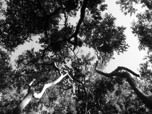 VRolo_'s profile picture. 