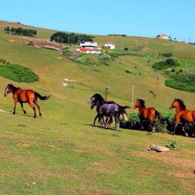 Abab2000Abab2's profile picture. 