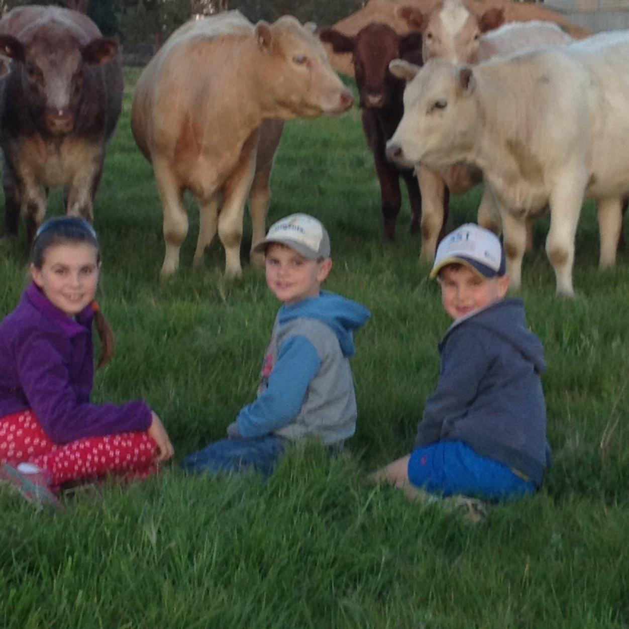 strathern_1's profile picture. Trying hard to prove that farming can be profitable with zero skill. Southern NSW most useless canola grower.