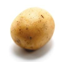 livingpotatoo's profile picture. 