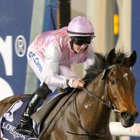 Phillistown House (@phillhse) 's Twitter Profile Photo