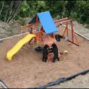 collin marshall - @collinmarshsall - Twitter