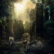 Citiwolf_CO's profile picture. 