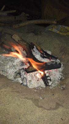 mjarer's profile picture. 