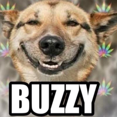 MlgCed's profile picture. 