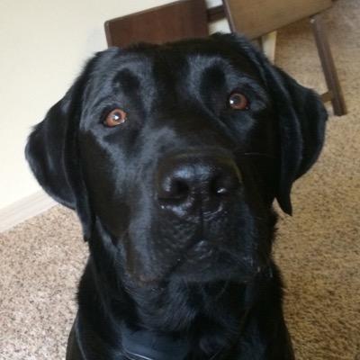 JThomasbryant's profile picture. Erin's husband. Gracie, TJ, and Zeek's dad. Crimson Tide football fanatic.