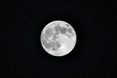 선량한 구독계 개노답씹타쿠