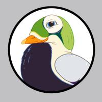 The Spectacled Eider(@FischersEider) 's Twitter Profile Photo