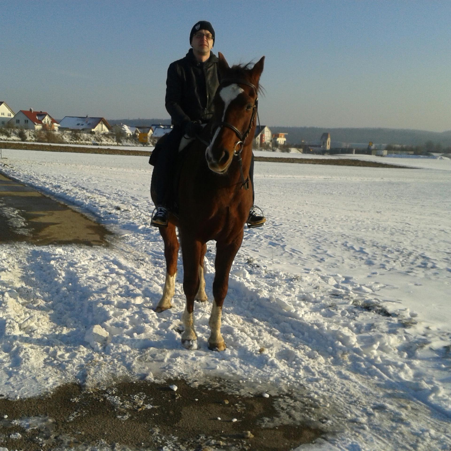 markus_orange's profile picture. 