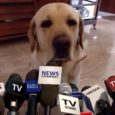 soodtanvi's profile picture. 