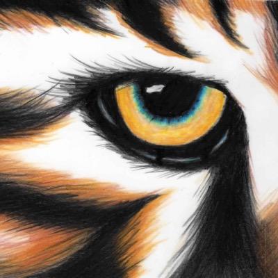 sptrackteam's profile picture. The official page for the South Panola Ladies Track Team