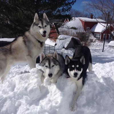 beckyca56780341's profile picture. 